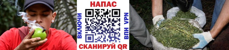 Виды наркотиков купить Гатчина Cocaine  Меф  Псилоцибиновые грибы  Конопля  ГАШИШ 