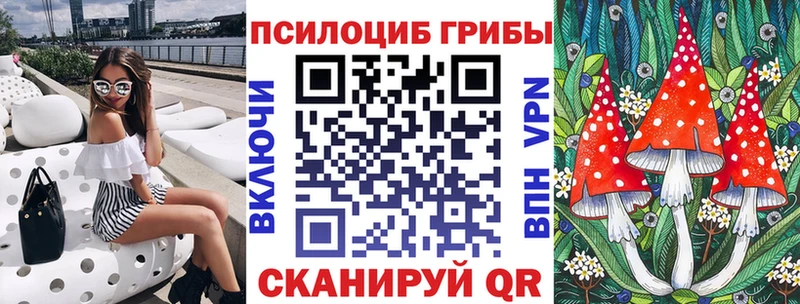 цена наркотик  Гатчина  kraken зеркало  Псилоцибиновые грибы GOLDEN TEACHER 